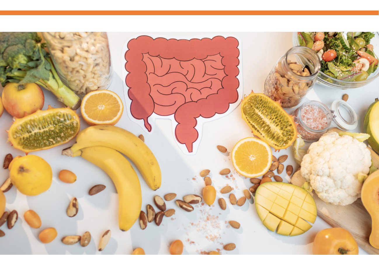 Gut Health